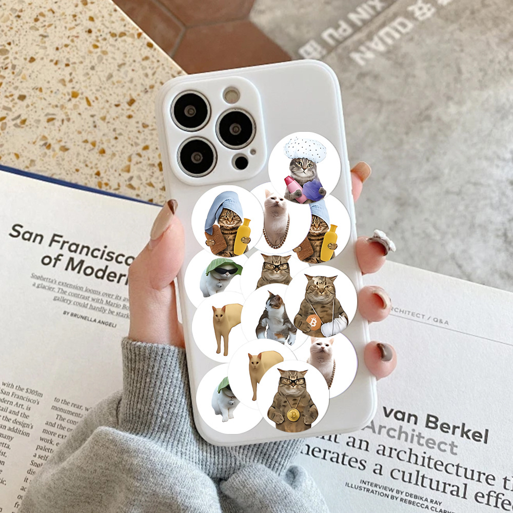 100-500pcs Funny Cat Graffiti  - Laptop Accessories Aesthetic ulasan dan harga